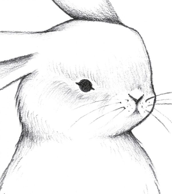 bunny-art-print-front-bunny (1)