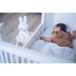 MIFFY F LIGHT