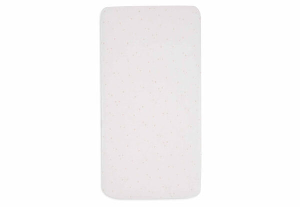 511-501-67101_2_20240611