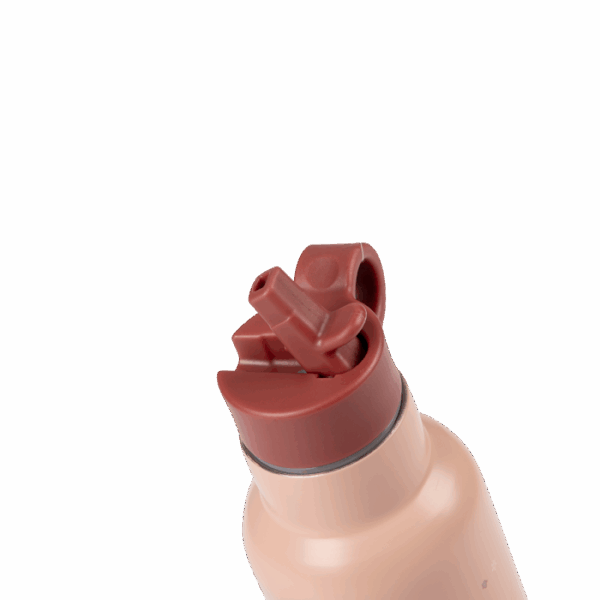 Gourde_Apres_la_pluie_Moulin_Roty_1