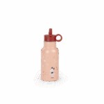 Gourde_Apres_la_pluie_Moulin_Roty