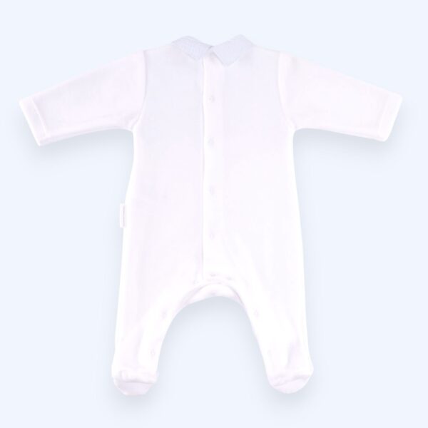 IMG-20251017-WA0000