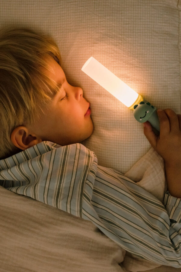 Zoo_Light_Dino_Night_Lamp_Lifestyle_The_Zoofamily_Photo_24