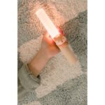 The-Zoofamily-Zoo-Light-Fox-Product-1