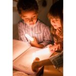 The-Zoofamily-Zoo-Light-Fox-Product-1