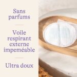 6_80324b04-62c8-47da-a7c4-f6ba2d1be8dc_1100x