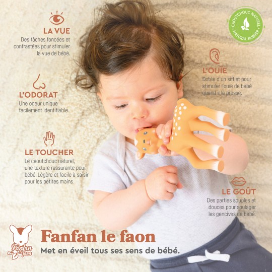 fanfan-le-faon-et-son-doudou-5